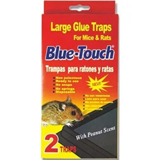 Blue-Touch Mouse Glue Traps 2pk Large
