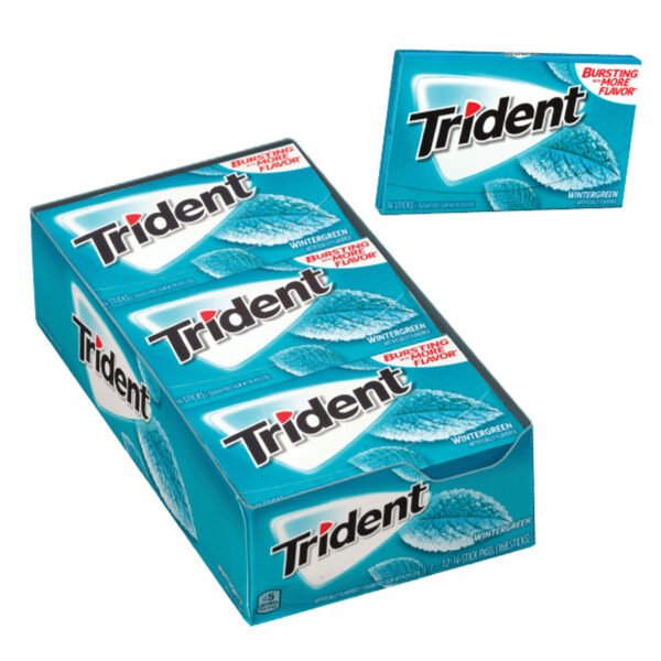Trident Wintergreen Gum 12ct